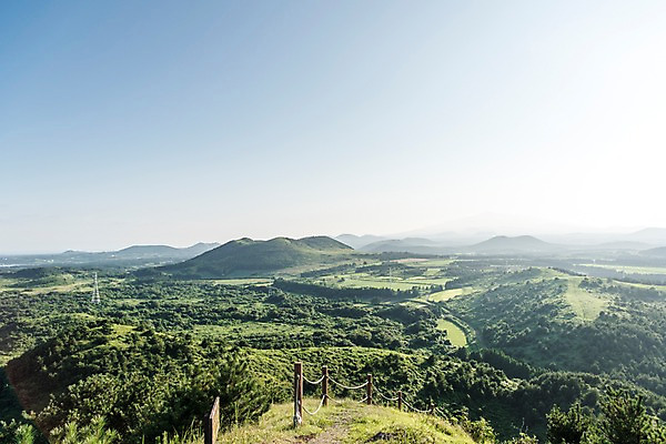 포토 JPG 주간 나무 자연 풍경 사람없음 야외 제주도 숲 오름 거미오름 국내포토 자연요소 식물 한국 생태계 파일형식