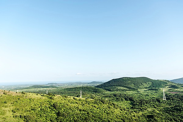 포토 JPG 주간 나무 풍경 사람없음 야외 제주도 숲 오름 철탑 국내포토 자연요소 식물 한국 탑 파일형식
