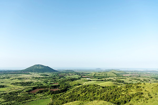 포토 JPG 주간 나무 자연 하늘 풍경 사람없음 야외 제주도 오름 다랑쉬오름 국내포토 자연요소 식물 한국 생태계 파일형식