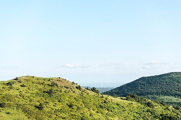 포토 JPG 주간 자연 하늘 풍경 사람없음 야외 제주도 오름 거미오름 국내포토 자연요소 한국 생태계 파일형식