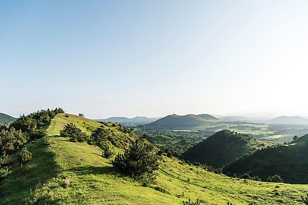포토 JPG 주간 자연 하늘 풍경 사람없음 야외 제주도 오름 거미오름 국내포토 자연요소 한국 생태계 파일형식