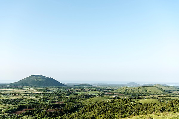 포토 JPG 주간 나무 자연 풍경 사람없음 야외 제주도 오름 다랑쉬오름 국내포토 자연요소 식물 한국 생태계 파일형식