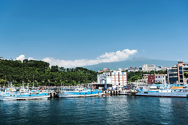 포토 JPG 주간 바다 풍경 사람없음 야외 제주도 어선 한라산 서귀포항 국내포토 자연요소 배_교통 산 한국 항구 서귀포 파일형식