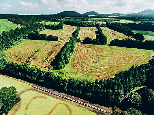 포토 JPG 주간 나무 풍경 사람없음 야외 하이앵글 제주도 농경지 오름 항공촬영 국내포토 자연요소 식물 뷰포인트 한국 농장 파일형식
