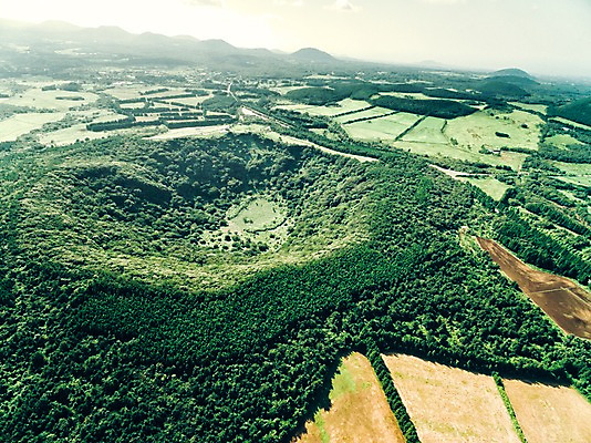 포토 JPG 주간 나무 풍경 사람없음 야외 하이앵글 제주도 숲 오름 항공촬영 산굼부리 국내포토 자연요소 식물 뷰포인트 한국 파일형식
