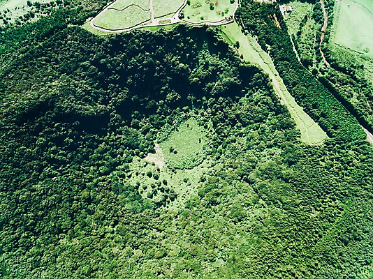 포토 JPG 주간 나무 풍경 사람없음 야외 하이앵글 제주도 숲 오름 항공촬영 산굼부리 국내포토 자연요소 식물 뷰포인트 한국 파일형식