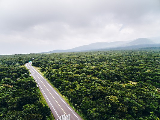 포토 JPG 주간 나무 구름 도로 풍경 사람없음 야외 하이앵글 제주도 숲 한라산 항공촬영 국내포토 자연요소 식물 길 뷰포인트 교통시설 산 한국 파일형식
