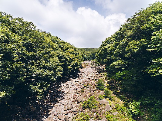 포토 JPG 주간 나무 구름 풍경 사람없음 야외 강 하이앵글 제주도 숲 가뭄 한라산 항공촬영 무수천 국내포토 자연요소 식물 뷰포인트 날씨 산 한국 파일형식