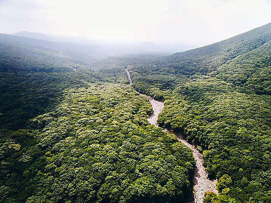 포토 JPG 주간 나무 구름 풍경 사람없음 야외 강 하이앵글 제주도 숲 숲길 가뭄 한라산 항공촬영 무수천 국내포토 자연요소 식물 길 뷰포인트 날씨 산 한국 파일형식
