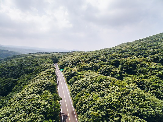 포토 JPG 주간 나무 구름 도로 풍경 사람없음 야외 하이앵글 제주도 숲 한라산 항공촬영 국내포토 자연요소 식물 길 뷰포인트 교통시설 산 한국 파일형식