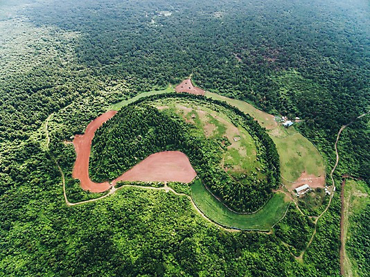 포토 JPG 주간 나무 풍경 사람없음 야외 하이앵글 제주도 숲 오름 항공촬영 문도지오름 국내포토 자연요소 식물 뷰포인트 한국 파일형식