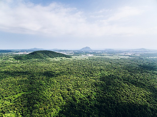 포토 JPG 주간 나무 풍경 사람없음 야외 하이앵글 제주도 숲 오름 항공촬영 문도지오름 국내포토 자연요소 식물 뷰포인트 한국 파일형식