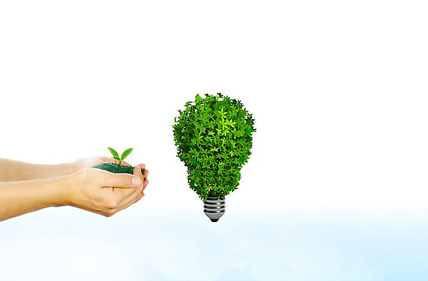 PSD 편집 편집이미지 손 신체부위 새싹 환경 에너지절약 전구모양 이미지편집 모양 식물 전구 사람 에너지 절약 파일형식