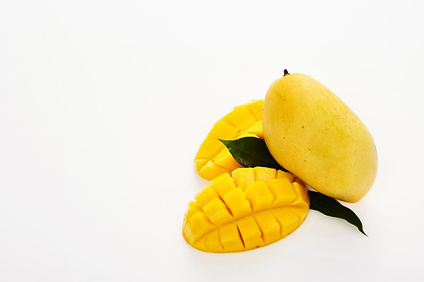 포토 JPG 스튜디오촬영 과일 실내 사람없음 신선 유기농 망고 국내포토 웰빙 내부 열대과일 파일형식