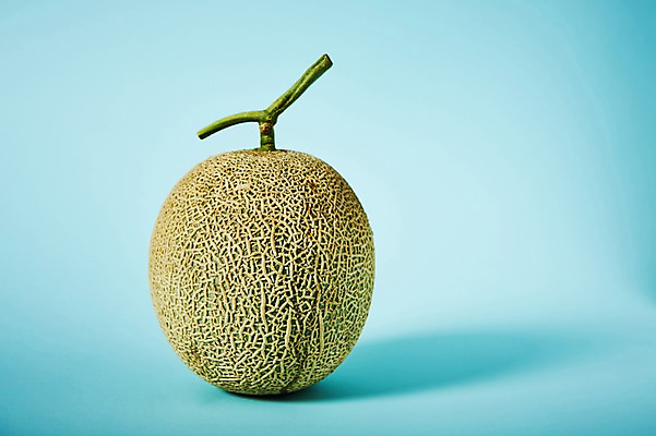 포토 JPG 스튜디오촬영 과일 실내 사람없음 신선 멜론 유기농 국내포토 웰빙 내부 파일형식