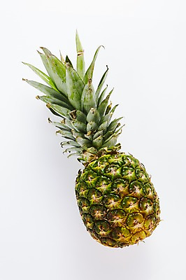 포토 JPG 스튜디오촬영 과일 실내 사람없음 신선 파인애플 유기농 국내포토 웰빙 내부 열대과일 파일형식