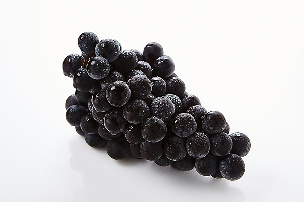 포토 JPG 스튜디오촬영 과일 포도 실내 사람없음 신선 유기농 제철 제철과일 국내포토 웰빙 내부 파일형식