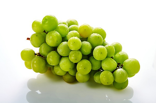 포토 JPG 스튜디오촬영 과일 실내 사람없음 신선 유기농 청포도 제철 제철과일 국내포토 웰빙 포도 내부 파일형식