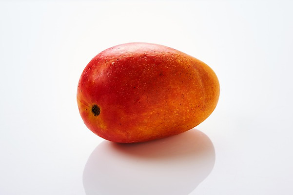 포토 JPG 스튜디오촬영 과일 실내 사람없음 신선 유기농 망고 애플망고 국내포토 웰빙 내부 열대과일 파일형식