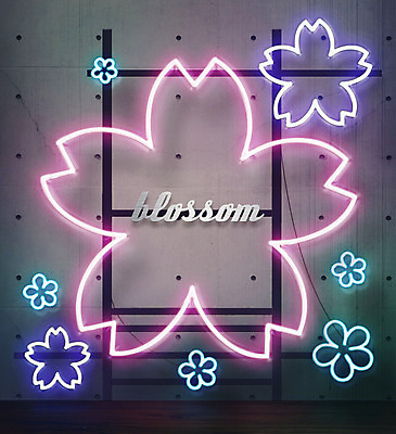 PSD 꽃잎 ZIP 조명 프레임 사람없음 빛 반짝임 봄 벚꽃 네온 영상 프레임일러스트 시네마그래프 네온아트 국내일러스트 계절 꽃 일러스트 모션 파일형식