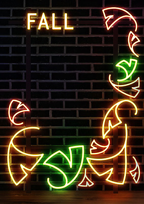 PSD ZIP 벽돌 조명 프레임 사람없음 빛 반짝임 가을 은행잎 네온 영상 프레임일러스트 시네마그래프 네온아트 국내일러스트 계절 잎 일러스트 모션 파일형식