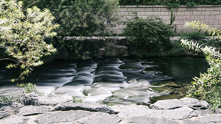 포토 JPG 주간 나무 여유 휴식 서울 풍경 사람없음 야외 도시풍경 산책 도시 도심 청계천 국내포토 자연요소 식물 감정 컨셉 한국 강 랜드마크 파일형식