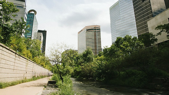 포토 JPG 주간 나무 여유 휴식 서울 풍경 빌딩 사람없음 야외 도시풍경 산책 도시 도심 청계천 국내포토 자연요소 식물 감정 컨셉 한국 건물 강 랜드마크 파일형식