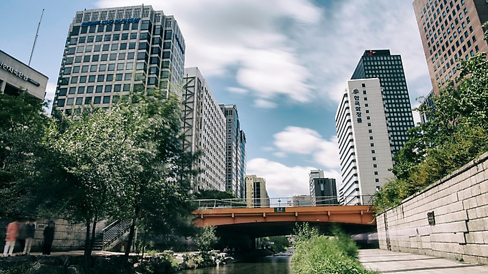 포토 JPG 주간 나무 여유 휴식 서울 풍경 빌딩 사람없음 야외 도시풍경 산책 도시 도심 청계천 청계교 21개교 국내포토 자연요소 식물 감정 컨셉 한국 건물 강 다리_건축물 랜드마크 파일형식