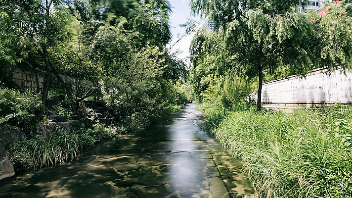 포토 JPG 주간 나무 여유 휴식 서울 풍경 사람없음 야외 도시풍경 산책 도시 도심 청계천 국내포토 자연요소 식물 감정 컨셉 한국 강 랜드마크 파일형식