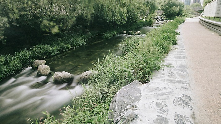 포토 JPG 주간 나무 여유 휴식 서울 풍경 사람없음 야외 도시풍경 산책 도시 도심 청계천 국내포토 자연요소 식물 감정 컨셉 한국 강 랜드마크 파일형식