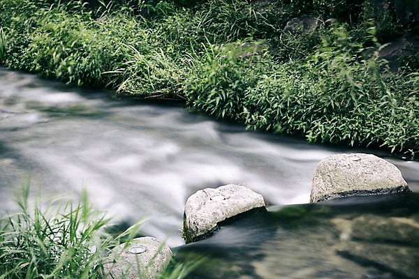 포토 JPG 주간 여유 휴식 서울 풍경 사람없음 야외 도시풍경 산책 돌_바위 풀잎 도심 청계천 국내포토 자연요소 감정 컨셉 잎 한국 강 도시 풀_식물 랜드마크 파일형식