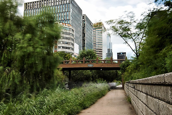 포토 JPG 주간 여유 휴식 서울 풍경 빌딩 사람없음 야외 도시풍경 산책 도시 도심 청계천 청계교 21개교 국내포토 자연요소 감정 컨셉 한국 건물 강 다리_건축물 랜드마크 파일형식