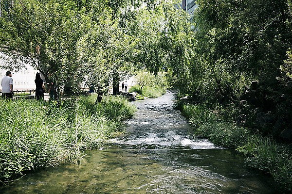 포토 JPG 주간 나무 여유 휴식 서울 풍경 사람없음 야외 물 도시풍경 산책 도심 청계천 국내포토 자연요소 식물 감정 컨셉 한국 강 도시 랜드마크 파일형식