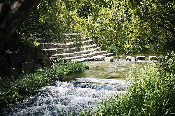 포토 JPG 주간 나무 여유 휴식 서울 풍경 사람없음 야외 도시풍경 계단 산책 풀잎 도심 청계천 돌다리 국내포토 자연요소 식물 감정 컨셉 잎 한국 강 다리_건축물 도시 풀_식물 랜드마크 파일형식