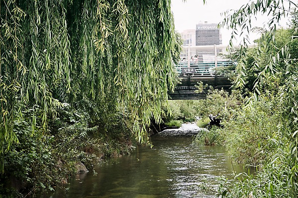 포토 JPG 주간 나무 여유 휴식 서울 풍경 빌딩 사람없음 야외 물 도시풍경 산책 도시 도심 청계천 청계교 21개교 국내포토 자연요소 식물 감정 컨셉 한국 건물 강 다리_건축물 랜드마크 파일형식