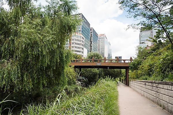 포토 JPG 주간 나무 여유 휴식 서울 풍경 빌딩 사람없음 야외 도시풍경 산책 도시 풀잎 도심 청계천 청계교 21개교 국내포토 자연요소 식물 감정 컨셉 잎 한국 건물 강 다리_건축물 풀_식물 랜드마크 파일형식