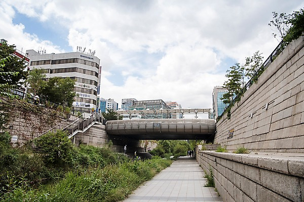 포토 JPG 주간 여유 휴식 서울 풍경 빌딩 사람없음 야외 도시풍경 산책 도시 풀잎 도심 청계천 청계교 21개교 국내포토 자연요소 감정 컨셉 잎 한국 건물 강 다리_건축물 풀_식물 랜드마크 파일형식