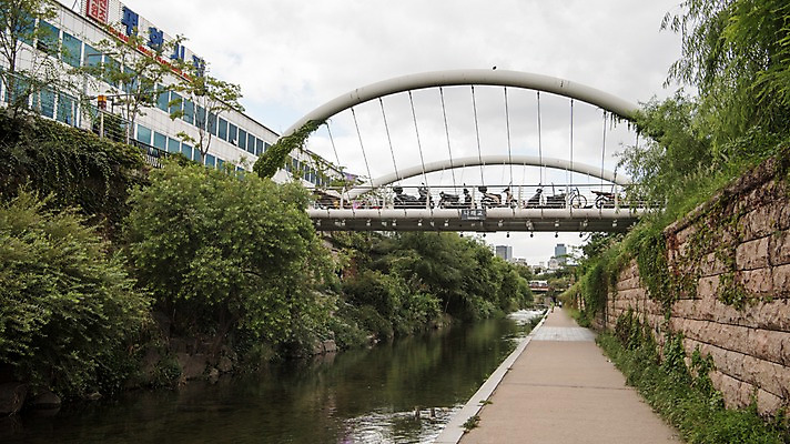 포토 JPG 주간 여유 휴식 서울 풍경 빌딩 사람없음 야외 도시풍경 산책 도시 풀잎 도심 청계천 청계교 21개교 국내포토 자연요소 감정 컨셉 잎 한국 건물 강 다리_건축물 풀_식물 랜드마크 파일형식