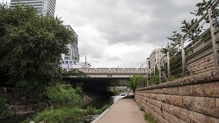 포토 JPG 주간 여유 휴식 서울 풍경 빌딩 사람없음 야외 도시풍경 산책 도시 풀잎 도심 청계천 청계교 21개교 국내포토 자연요소 감정 컨셉 잎 한국 건물 강 다리_건축물 풀_식물 랜드마크 파일형식