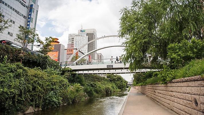 포토 JPG 주간 여유 휴식 서울 풍경 빌딩 사람없음 야외 도시풍경 산책 도시 풀잎 도심 청계천 청계교 21개교 국내포토 자연요소 감정 컨셉 잎 한국 건물 강 다리_건축물 풀_식물 랜드마크 파일형식