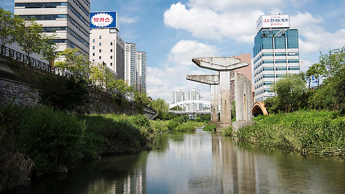 포토 JPG 주간 여유 휴식 서울 풍경 빌딩 사람없음 야외 도시풍경 산책 도시 풀잎 도심 청계천 청계교 21개교 국내포토 자연요소 감정 컨셉 잎 한국 건물 강 다리_건축물 풀_식물 랜드마크 파일형식