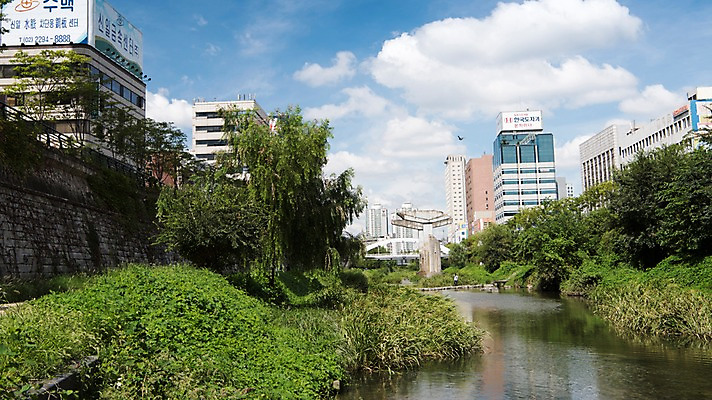 포토 JPG 주간 여유 휴식 서울 풍경 빌딩 사람없음 야외 물 도시풍경 산책 도시 풀잎 도심 청계천 청계교 21개교 국내포토 자연요소 감정 컨셉 잎 한국 건물 강 다리_건축물 풀_식물 랜드마크 파일형식