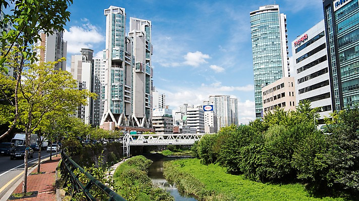 포토 JPG 주간 나무 여유 휴식 서울 풍경 빌딩 사람없음 야외 도시풍경 산책 도시 풀잎 도심 청계천 청계교 21개교 국내포토 자연요소 식물 감정 컨셉 잎 한국 건물 강 다리_건축물 풀_식물 랜드마크 파일형식