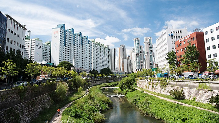 포토 JPG 주간 나무 여유 휴식 서울 풍경 빌딩 사람없음 야외 도시풍경 산책 도시 풀잎 도심 청계천 청계교 21개교 국내포토 자연요소 식물 감정 컨셉 잎 한국 건물 강 다리_건축물 풀_식물 랜드마크 파일형식