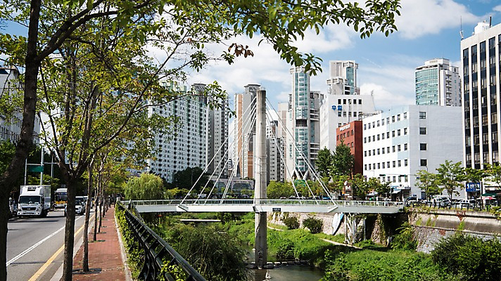 포토 JPG 주간 나무 여유 휴식 서울 풍경 빌딩 사람없음 야외 도시풍경 산책 도시 도심 청계천 청계교 21개교 국내포토 자연요소 식물 감정 컨셉 한국 건물 강 다리_건축물 랜드마크 파일형식