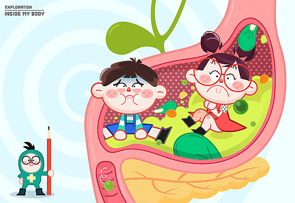 여자 남자 어린이 신체 일러스트 인체모형 세명 연필 소화기관 위 쓸개 국내일러스트 AI파일 학용품 사람 필기구 모형 장기_의학 방향 파일형식 벡터