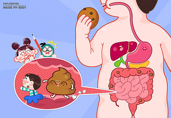 여자 남자 어린이 신체 일러스트 인체모형 여러명 쿠키 소화기관 간 대장 위 변 국내일러스트 AI파일 다수 디저트 사람 모형 장기_의학 방향 파일형식 벡터