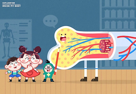 여자 남자 어린이 신체 일러스트 인체모형 뼈 세명 연필 모세혈관 국내일러스트 AI파일 학용품 사람 필기구 모형 파일형식 벡터