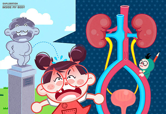 여자 남자 어린이 신체 일러스트 인체모형 두명 동상 신장 방광 소변 오줌싸개 국내일러스트 AI파일 사람 조형물 모형 비뇨기관 기념물 파일형식 벡터
