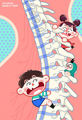 여자 남자 어린이 신체 일러스트 인체모형 뼈 세명 척추 국내일러스트 AI파일 사람 모형 파일형식 벡터